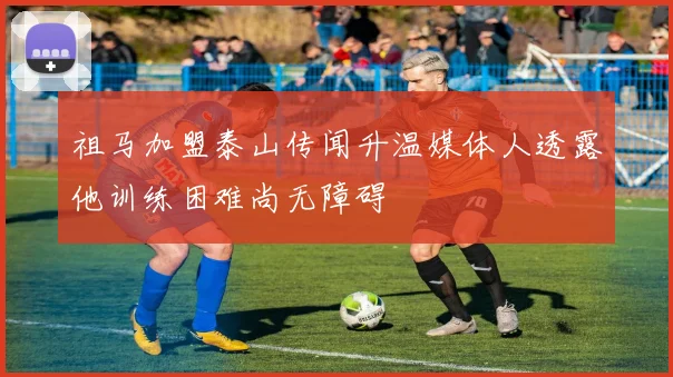 祖马加盟泰山传闻升温媒体人透露他训练困难尚无障碍