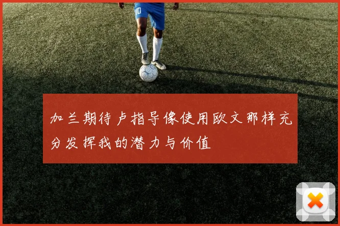 加兰期待卢指导像使用欧文那样充分发挥我的潜力与价值